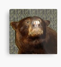 Montana Metal Print