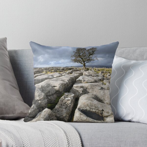 Item preview, Limestone pavement and lone tree (Winskill Stones) designed and sold by bitm2007.