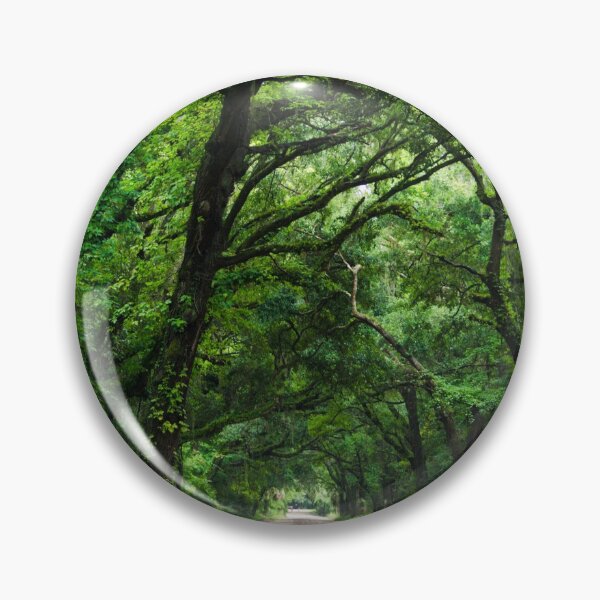 Item preview, Botany Bay Plantation, Edisto Island, SC designed and sold by Erika Thomas.