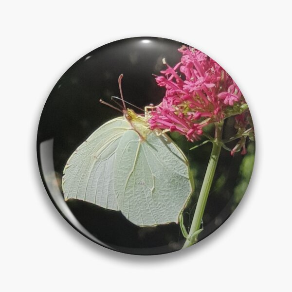 Item preview, Leaf butterfly foraging a macrophoto valerian flower designed and sold by Joie-et-Poesie.