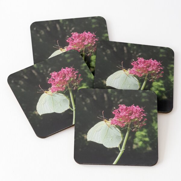 Item preview, Leaf butterfly foraging a macrophoto valerian flower designed and sold by Joie-et-Poesie.