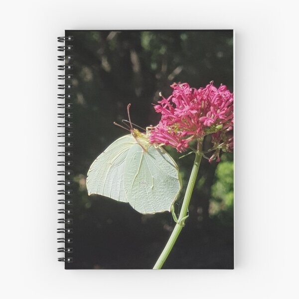 Item preview, Leaf butterfly foraging a macrophoto valerian flower designed and sold by Joie-et-Poesie.