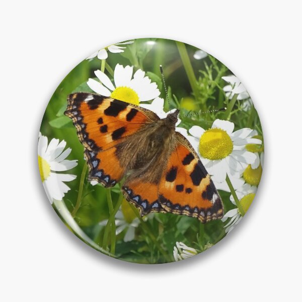 Item preview, Mayweed Forager designed and sold by Barrie Woodward.