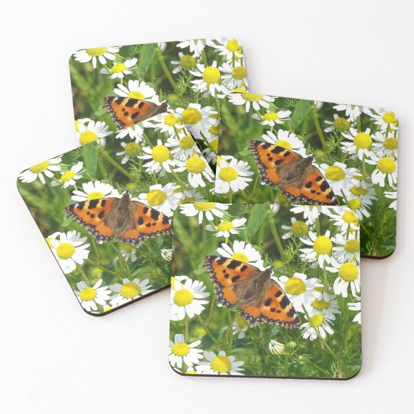 Item preview, Mayweed Forager designed and sold by Barrie Woodward.
