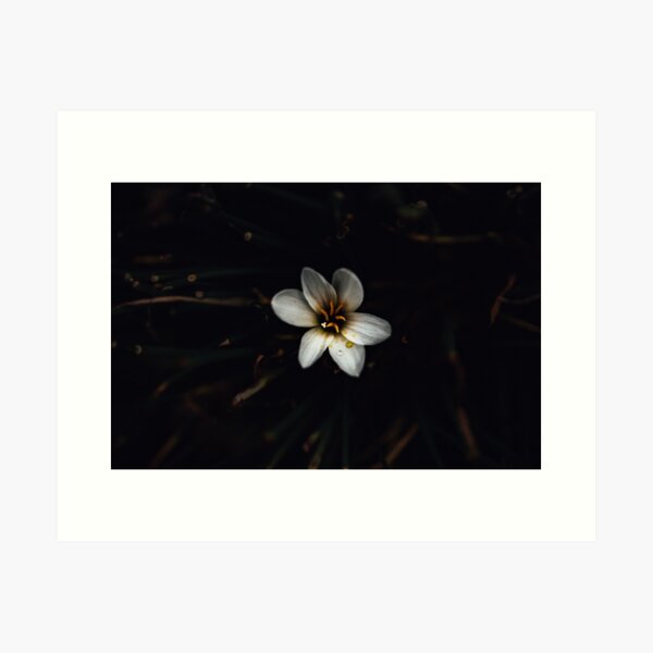 Item preview, White Flower with Pollen Droplets designed and sold by Kelley Summerville.