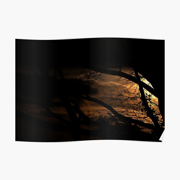 Woodland Sunset Poster