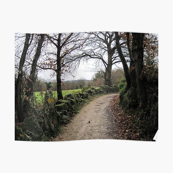 Camino de Santiago, Spain Poster