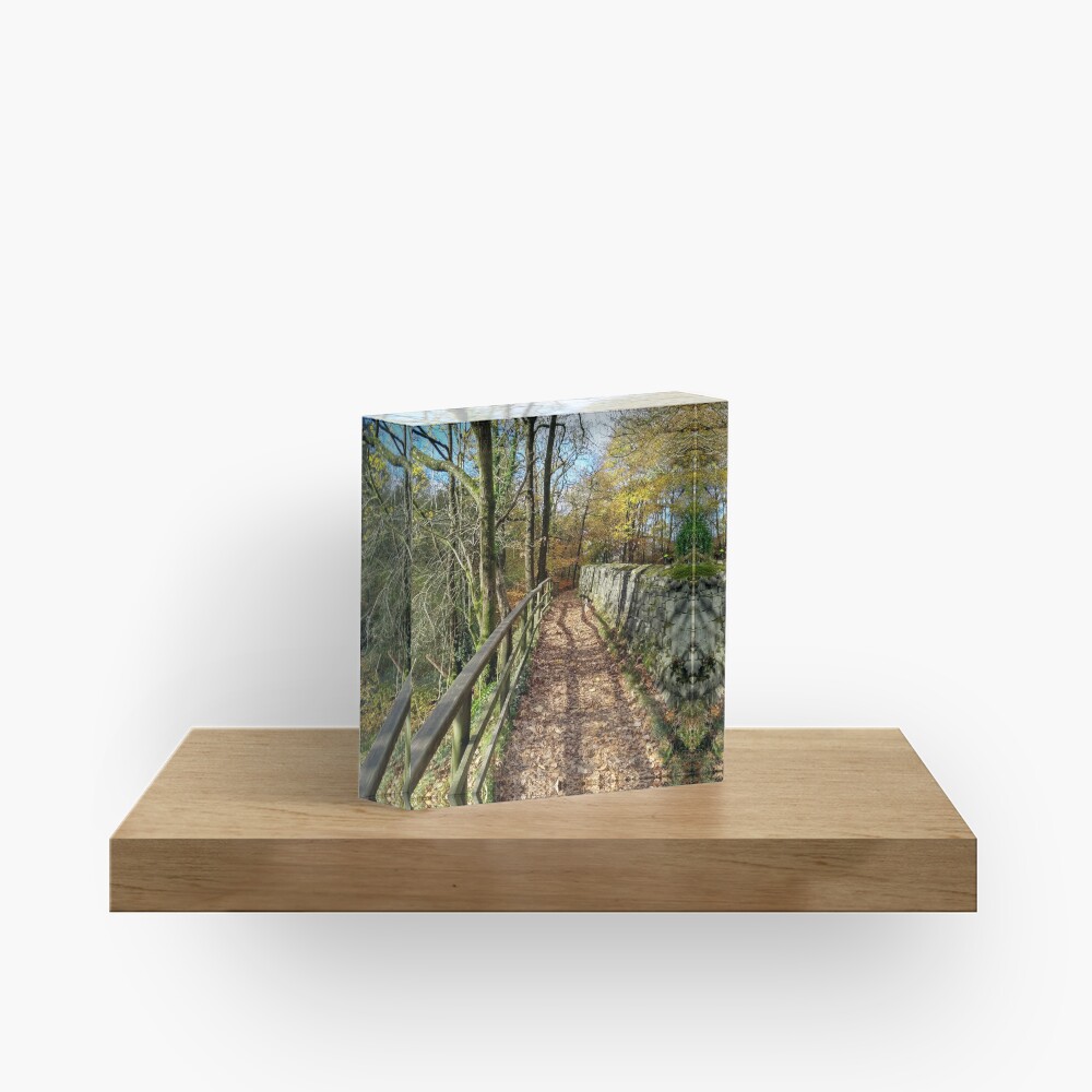 Item preview, Acrylic Block designed and sold by SteveNYorks.
