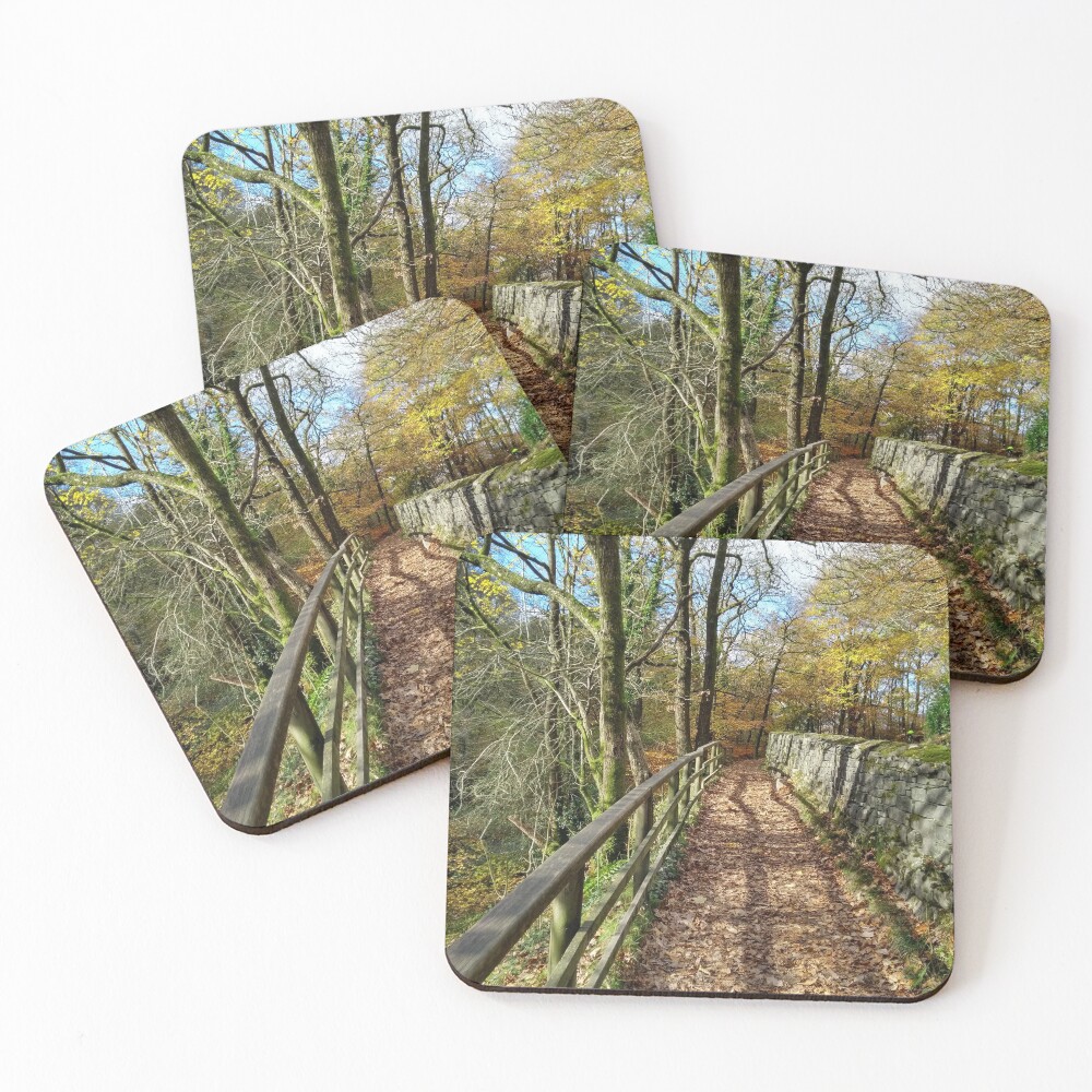 Item preview, Coasters (Set of 4) designed and sold by SteveNYorks.