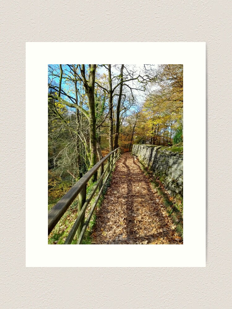 Thumbnail 1 of 3, Art Print, Lake District Path designed and sold by SteveNYorks.