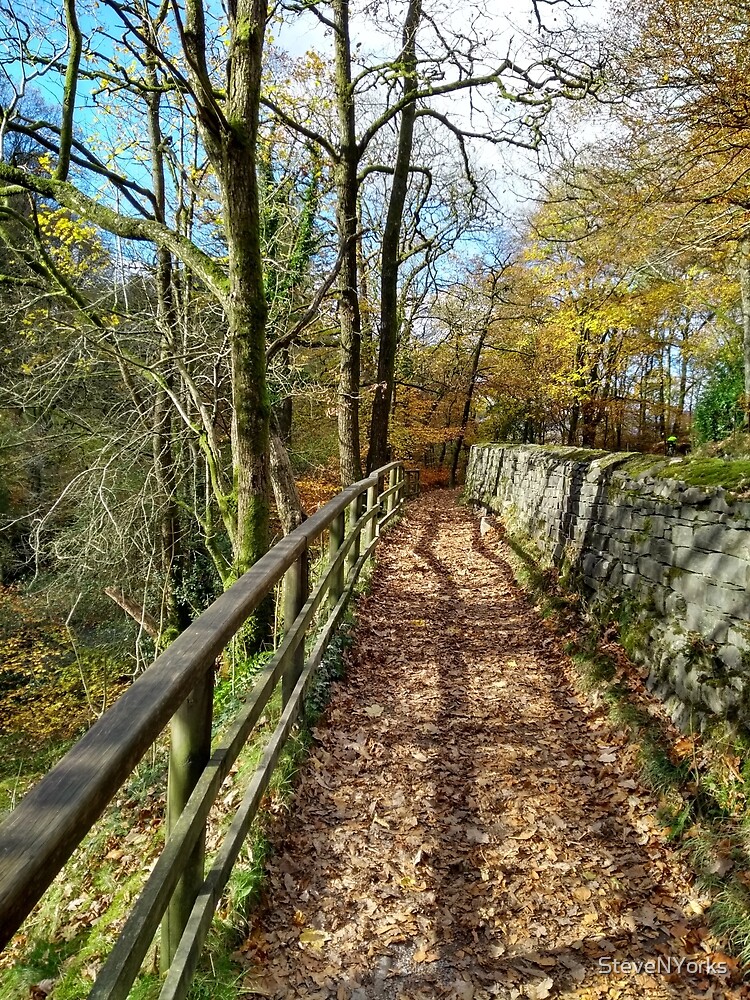 Thumbnail 3 of 3, Art Print, Lake District Path designed and sold by SteveNYorks.