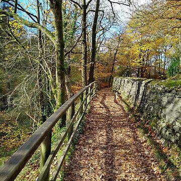 Artwork thumbnail, Lake District Path by SteveNYorks