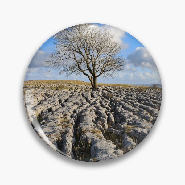 Item preview, Oak tree (Malham Lings) designed and sold by bitm2007.