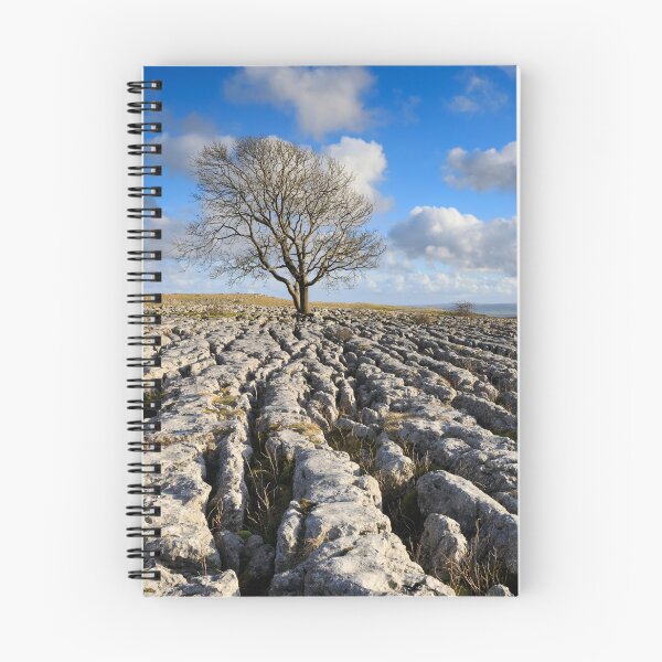 Item preview, Oak tree (Malham Lings) designed and sold by bitm2007.