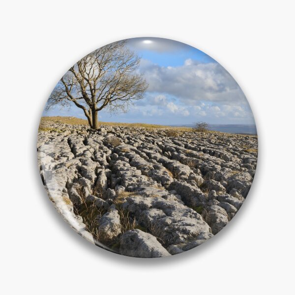 Item preview, Tree and limestone pavement (Malham Lings) designed and sold by bitm2007.