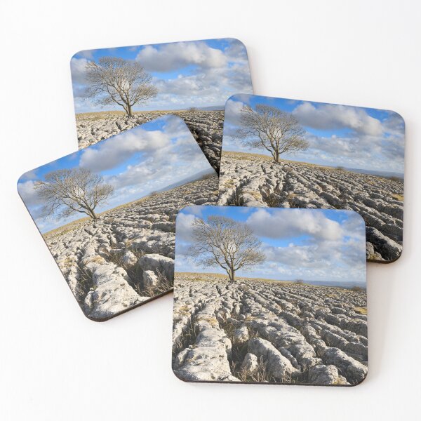 Item preview, Tree and limestone pavement (Malham Lings) designed and sold by bitm2007.