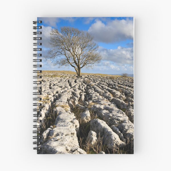 Item preview, Tree and limestone pavement (Malham Lings) designed and sold by bitm2007.
