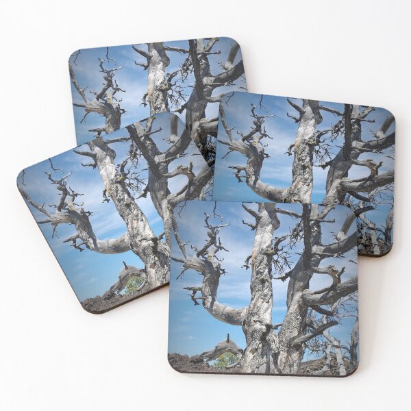 Item preview, Twisted tree in volcanic land designed and sold by aginlow.