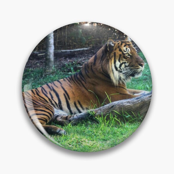 Item preview, Tigre feroz designed and sold by emilyap.