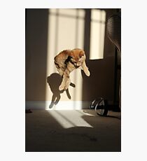 Ruh roh Photographic Print