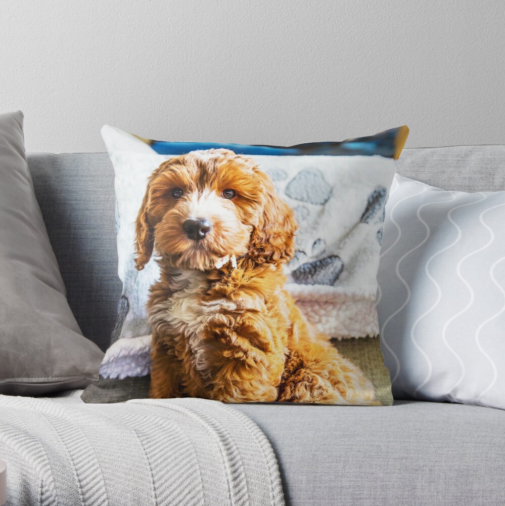 cockapoo pillow