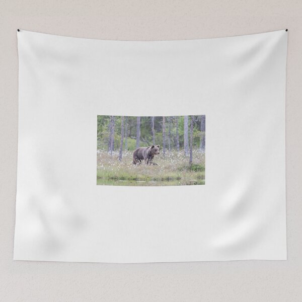 Item preview, European Brown Bear designed and sold by Richard Greenwood.