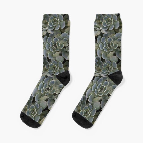 Succulent (pattern) Socks