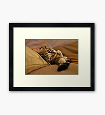 Oh My Tail I Luvz You Framed Print