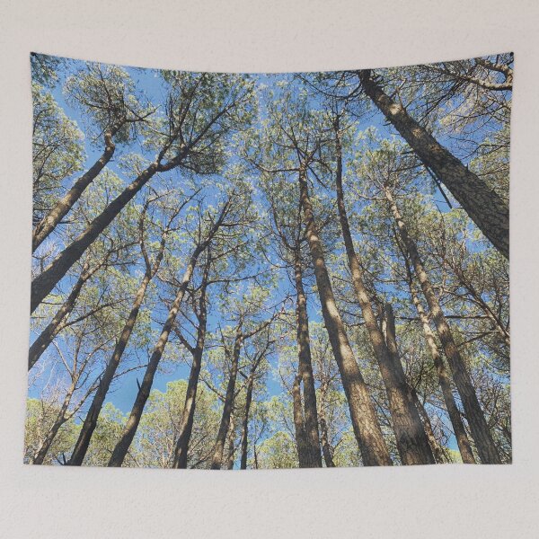 Item preview, Afternoon in the Woods designed and sold by meleyart.