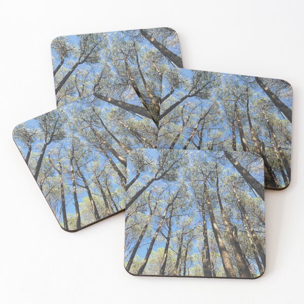 Item preview, Afternoon in the Woods designed and sold by meleyart.