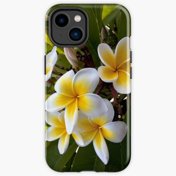 Frangipani Blossoms iPhone Tough Case