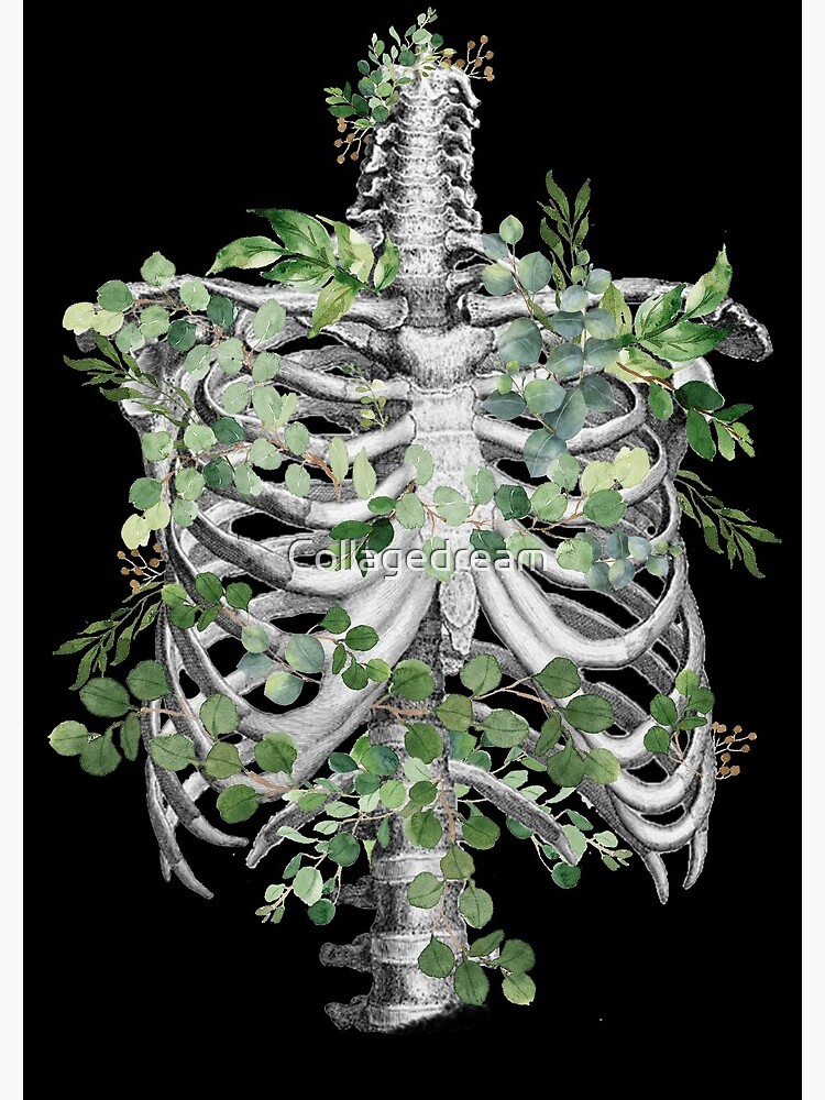 Thumbnail 3 von 3, Notizbuch, Brustkorb, Brustkorb, Anatomie Skelett Eukalyptusblätter designt und verkauft von Collagedream.