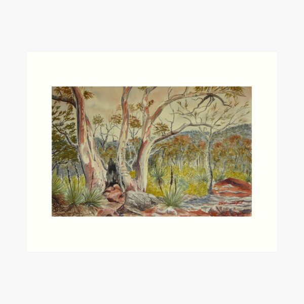 Item preview, Charred tree, Dutchmans Stern NP, Flinders Ranges designed and sold by Virginia  Coghill.