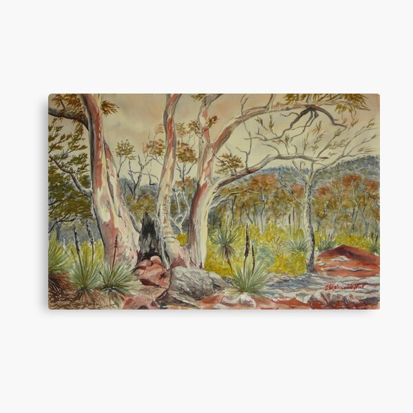 Item preview, Charred tree, Dutchmans Stern NP, Flinders Ranges designed and sold by Virginia  Coghill.