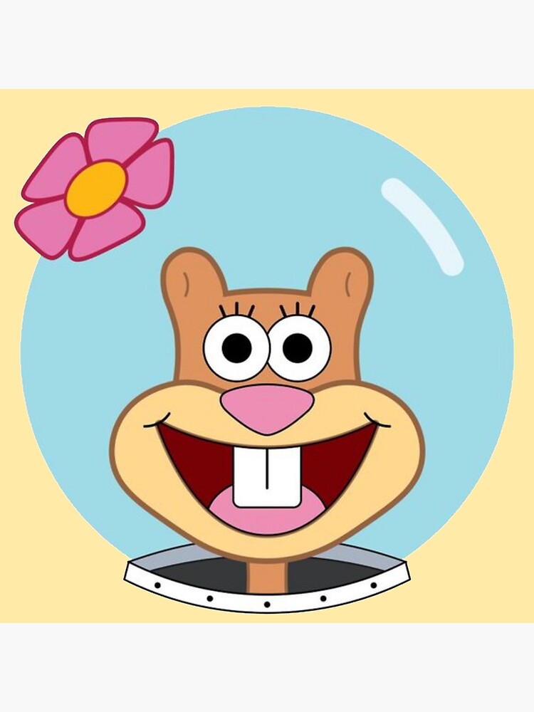 sandy cheeks body pillow