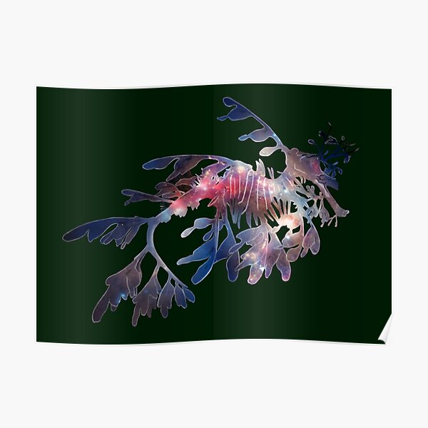Galaxy Leafy Seadragon Poster