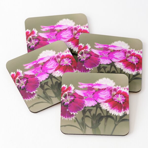 Item preview, Dianthus designed and sold by JEZ22.