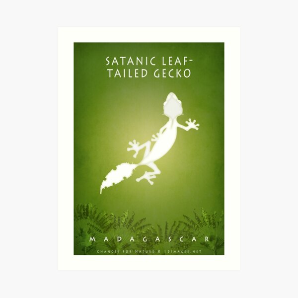 Satanic leaf-tailed gecko Madagascar wildlife Art Print