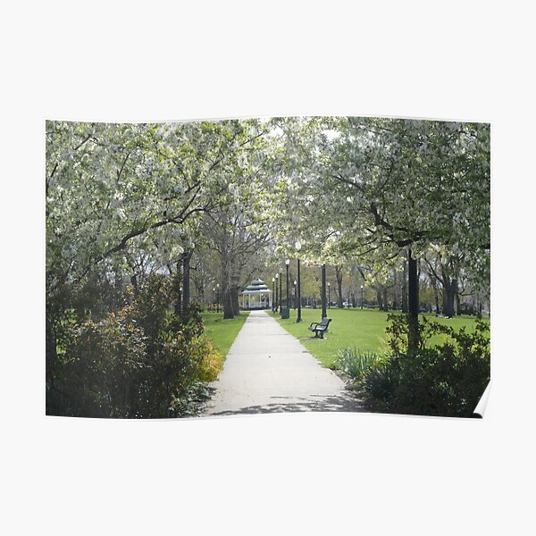 Lincoln Park Poster
