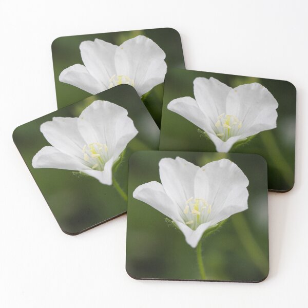 Item preview, White Gentian designed and sold by Spring Reilly.