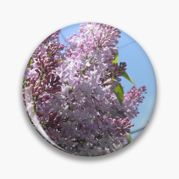 Item preview, Lilacs designed and sold by ALenihanPhoto.