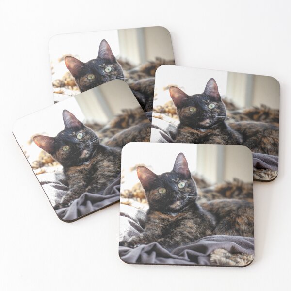 Item preview, Tortoiseshell kitten on a matching blanket. designed and sold by Spring Reilly.