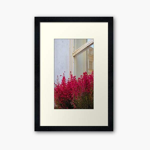 Ornamentation Framed Art Print