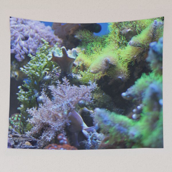 Item preview, Coral designed and sold by rfmdesigns.