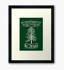 No. 1 The Larch Framed Print