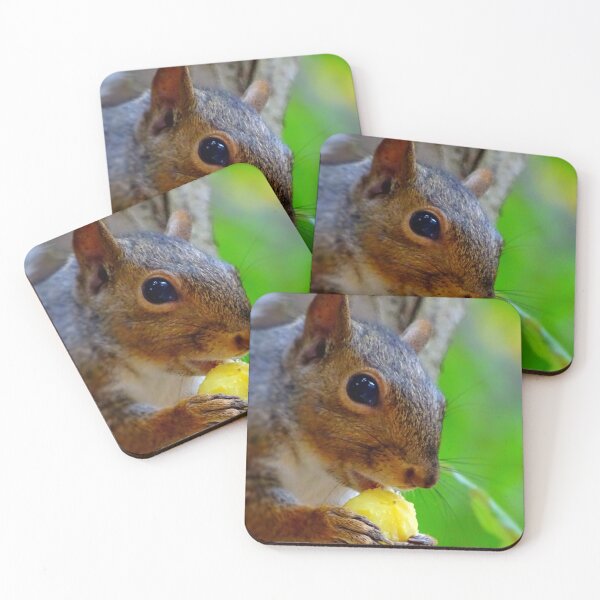 Item preview, Squirrel eating Potato designed and sold by Hamada Jalal.