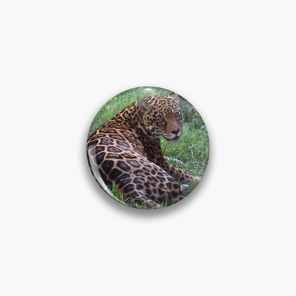 Item preview, Pin designed and sold by Falln.