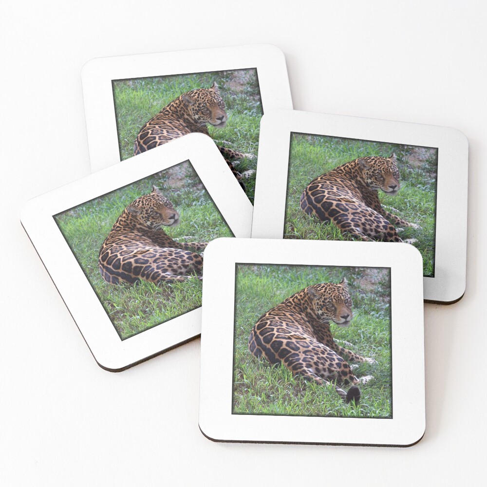 Item preview, Coasters (Set of 4) designed and sold by Falln.