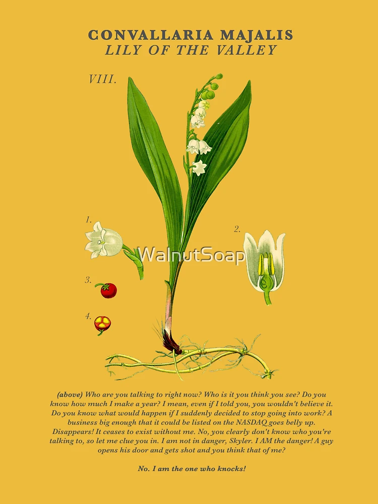Lily of the Valley, Breaking Bad Wiki