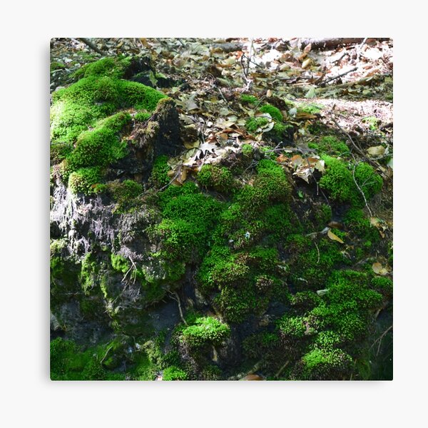 Item preview, Moss designed and sold by Linnys-Designs.